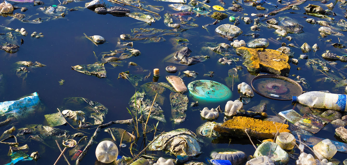 Poluição ambiental