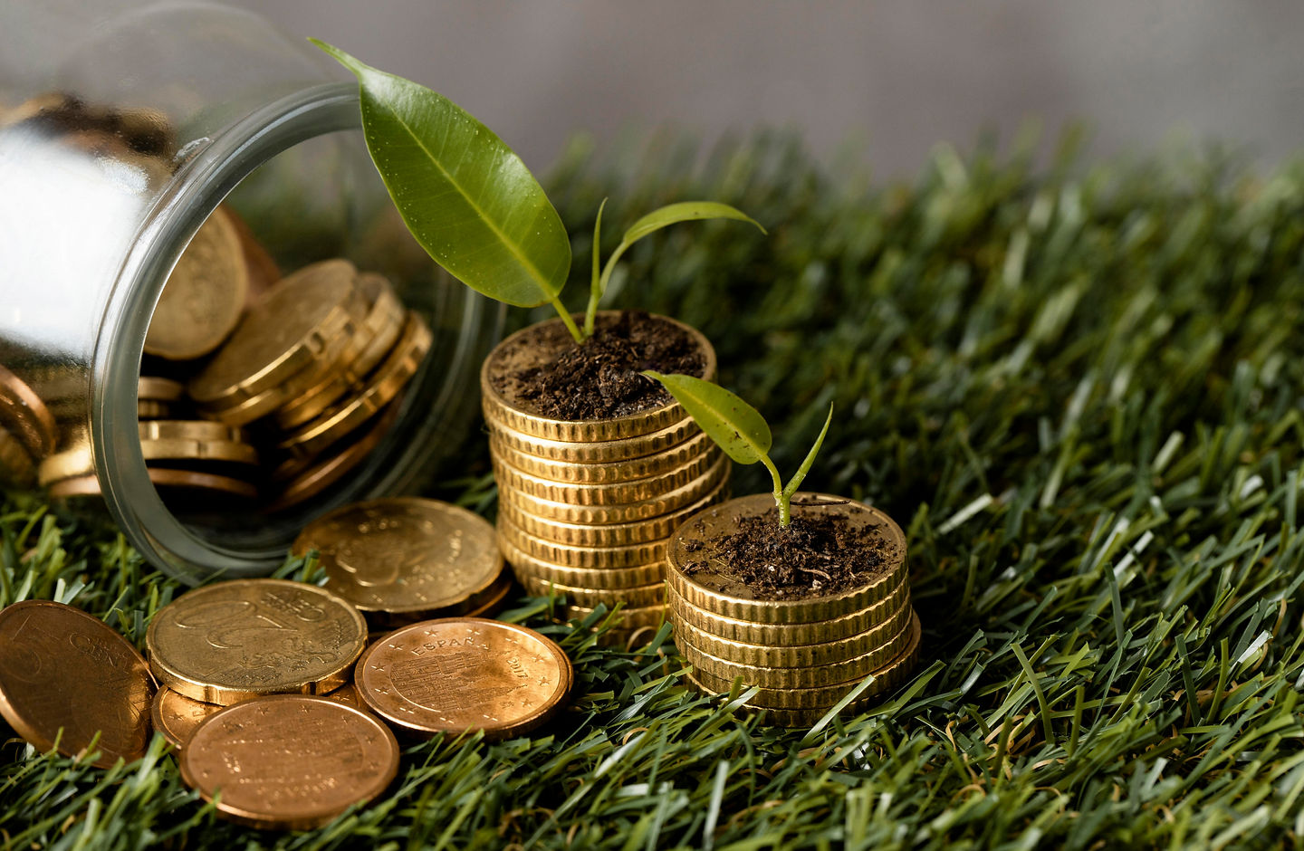 high-angle-two-stacks-coins-grass-with-jar-plants.jpg