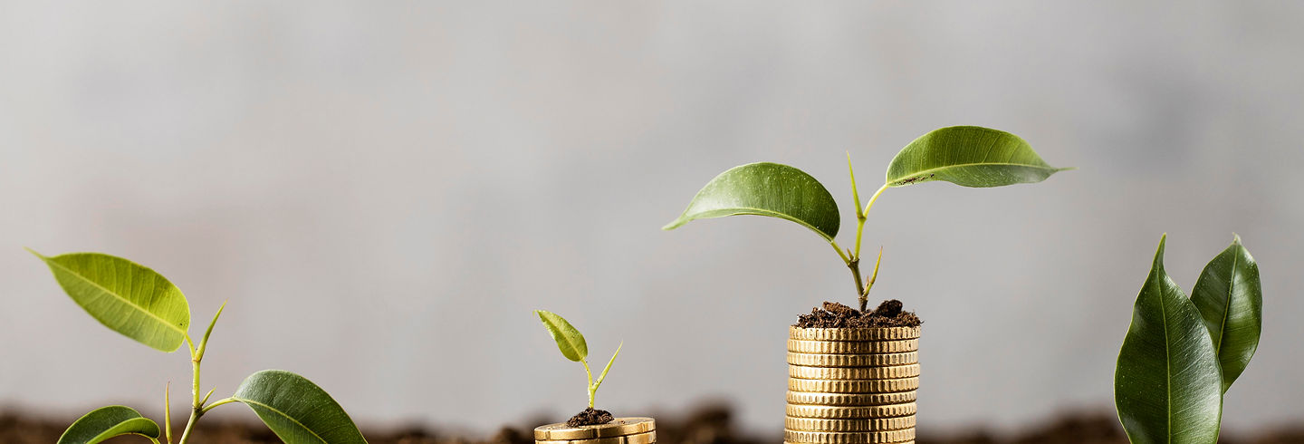 plants-with-coins-stacked-dirt.jpg